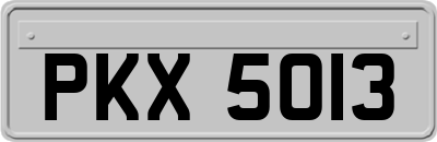 PKX5013