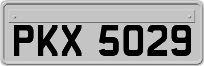PKX5029
