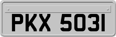 PKX5031