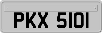 PKX5101