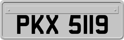PKX5119