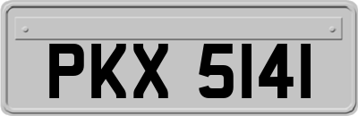 PKX5141
