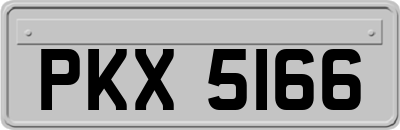 PKX5166
