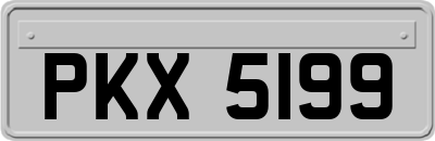PKX5199