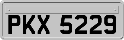 PKX5229