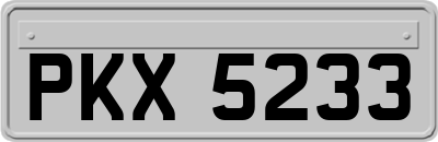 PKX5233