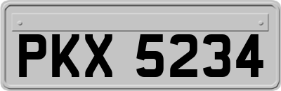 PKX5234