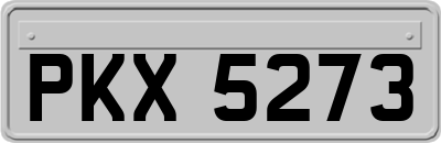 PKX5273