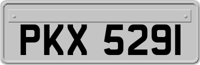 PKX5291