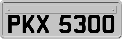 PKX5300