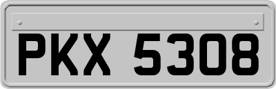 PKX5308
