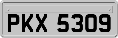 PKX5309