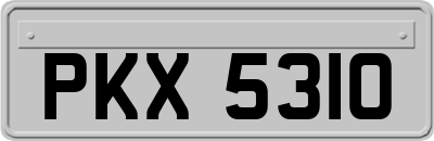 PKX5310