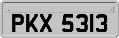 PKX5313