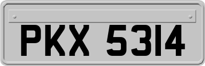 PKX5314