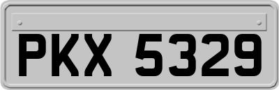 PKX5329