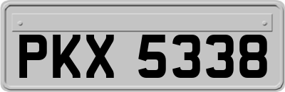 PKX5338