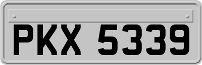 PKX5339