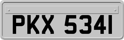 PKX5341
