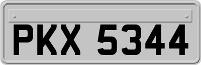 PKX5344