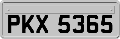 PKX5365