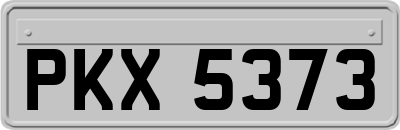 PKX5373
