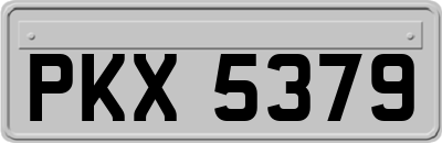 PKX5379