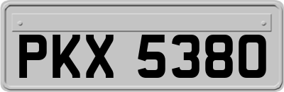 PKX5380