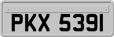 PKX5391
