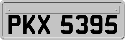 PKX5395