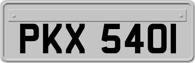 PKX5401