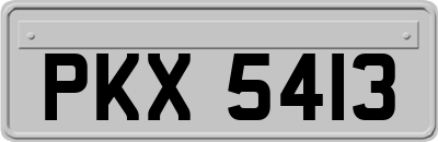 PKX5413