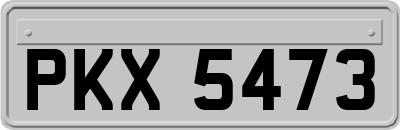 PKX5473