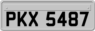 PKX5487