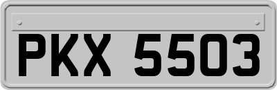 PKX5503