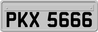 PKX5666