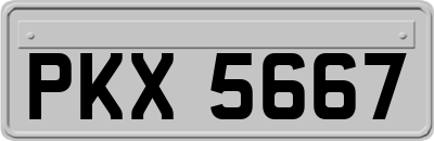 PKX5667