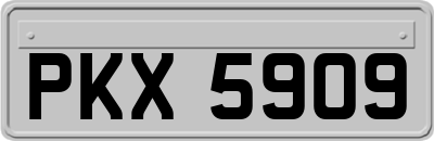 PKX5909