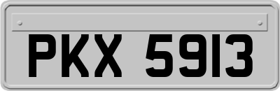 PKX5913