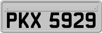 PKX5929