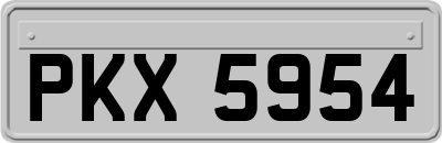 PKX5954