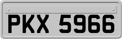 PKX5966