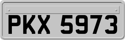 PKX5973