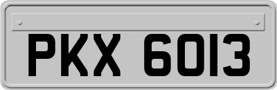 PKX6013