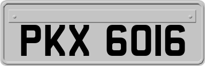 PKX6016