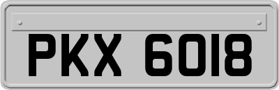 PKX6018