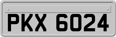 PKX6024