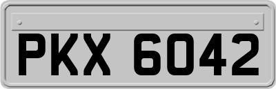 PKX6042
