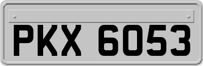 PKX6053