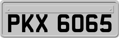 PKX6065